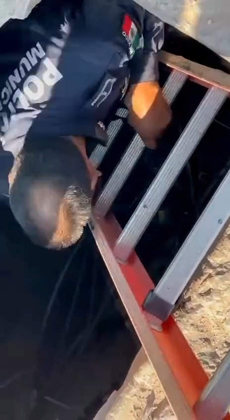 Rescatan municipales a perro en alcantarilla de la colonia Emiliano Zapata 2