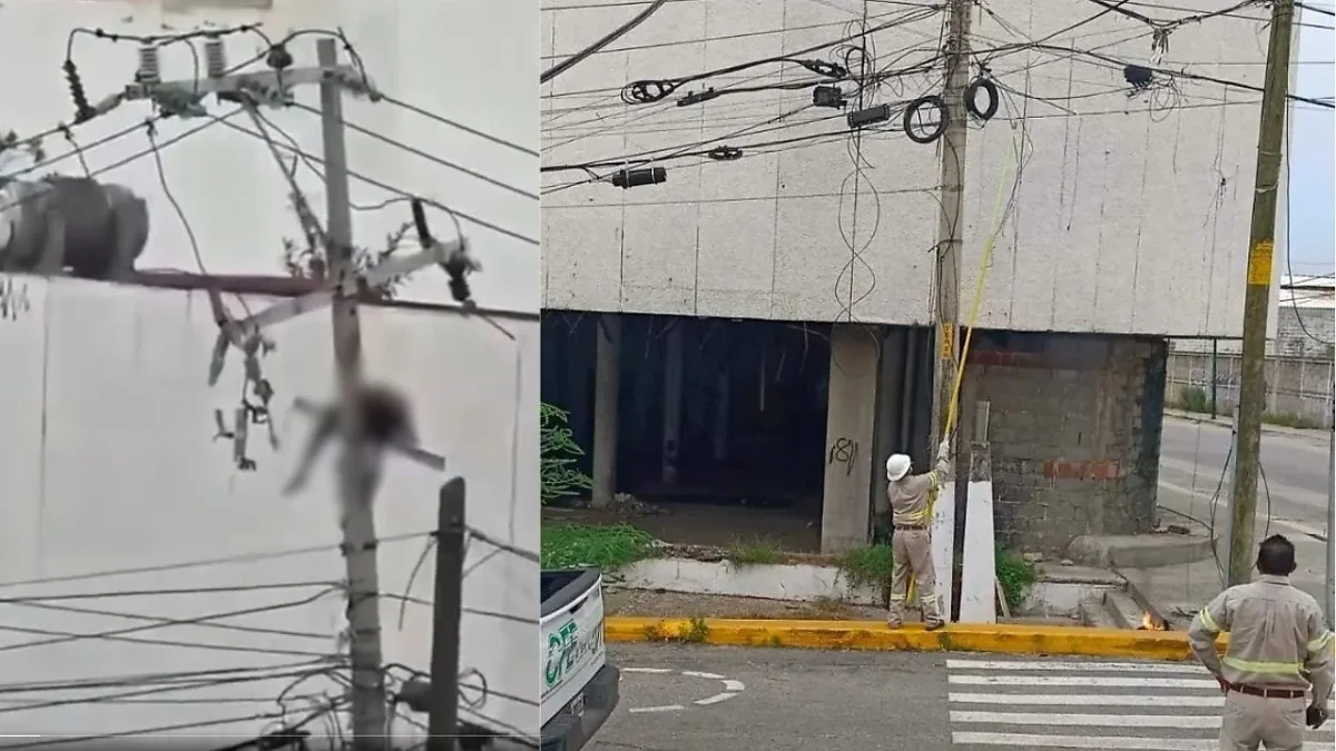 Poste de la CFE donde un hombre recibió una descarga eléctrica en Acapulco
