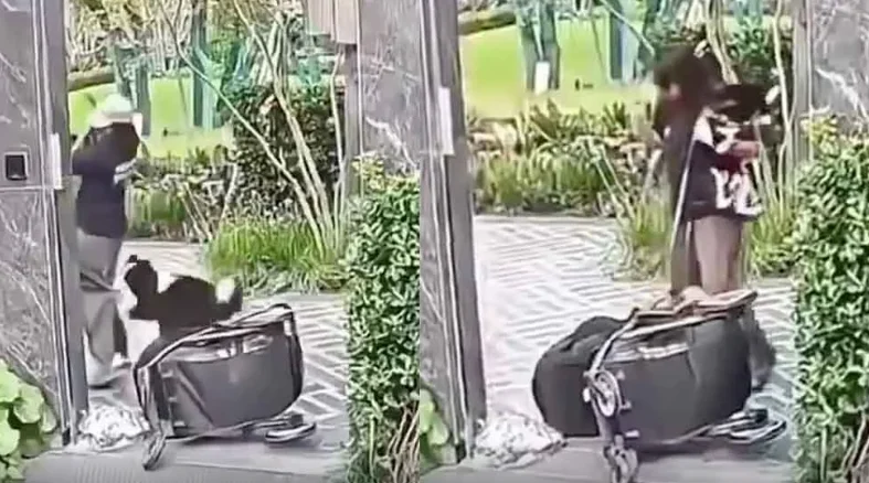 ¿Su mascota o su bebé? La polémica decisión de una madre tras at4que de perro