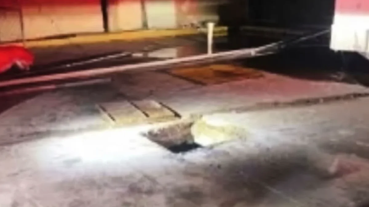 Noche fatal en Waterfill: accidente cobra la vida de un trabajador de seguridad