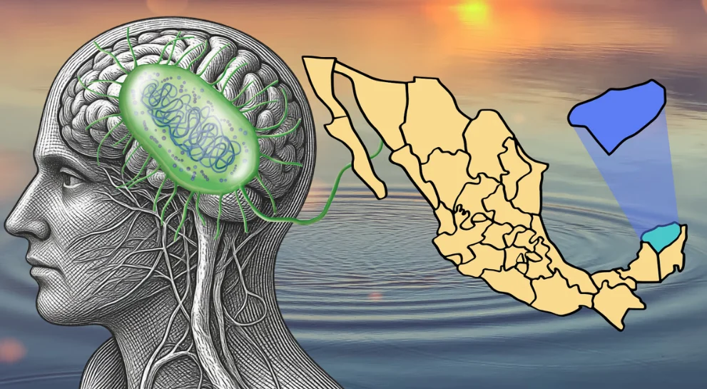 Ameba “comecerebros” causa primera muerte confirmada en Yucatán