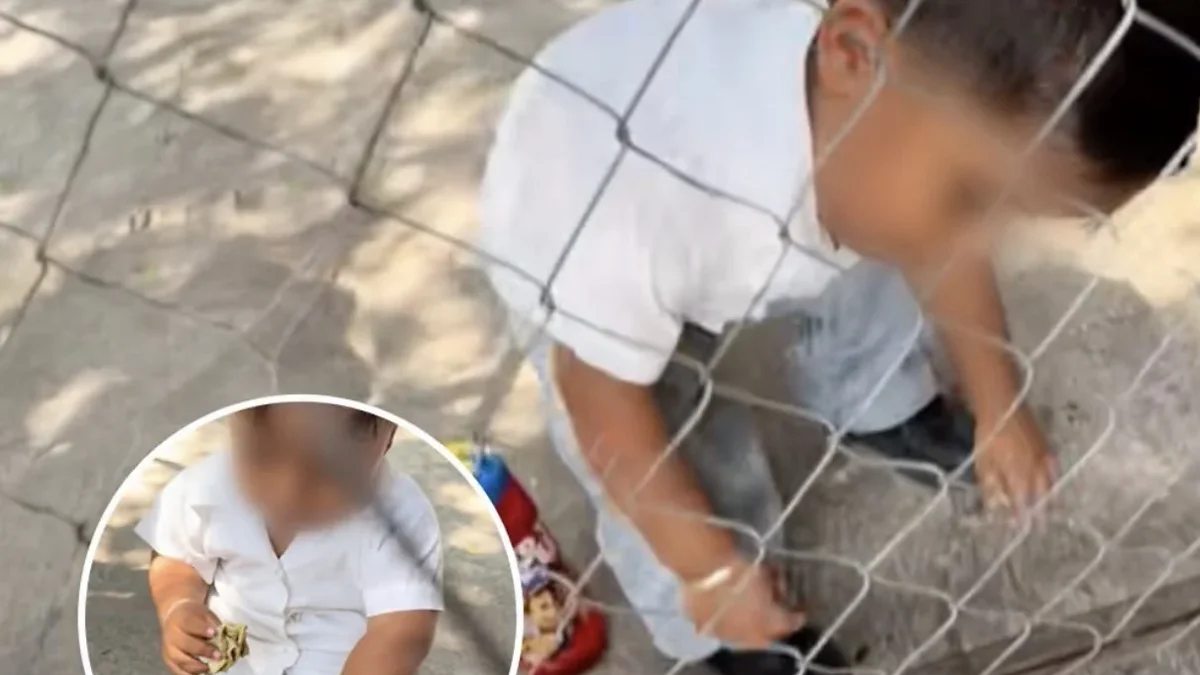 El amor de mamá: niño disfruta sus taquitos en el recreo