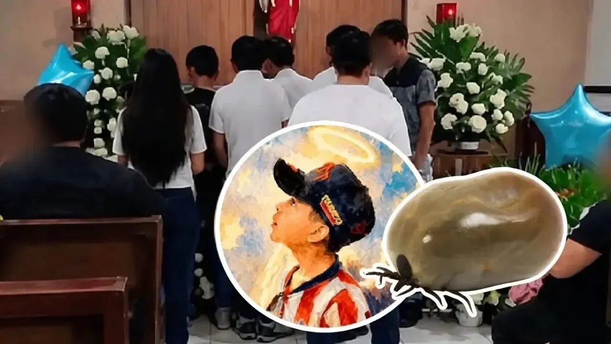 Niño de 12 años aplastó una garrapata y se tocó un ojo; días después murió