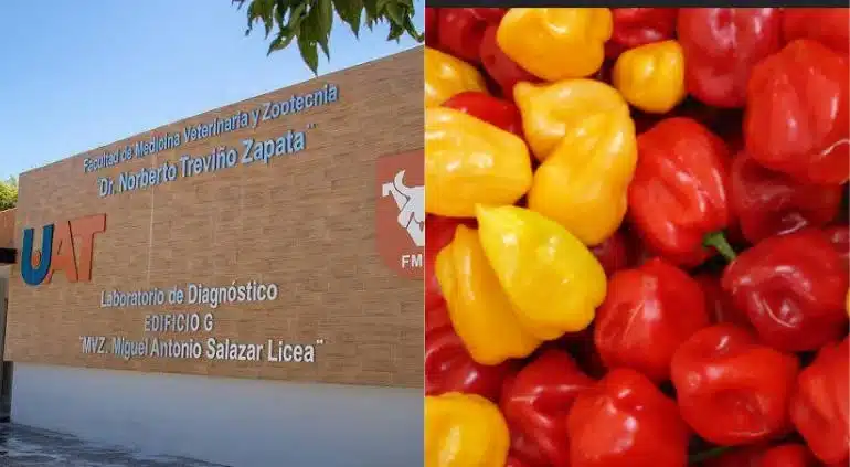 Comió estudiante chile habanero en novatada; terminó en terapia intensiva