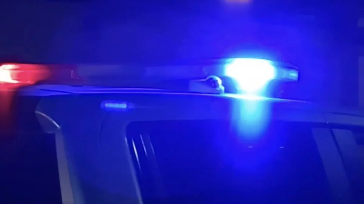 Hallan tres cuerpos desmembrados en carretera de Guerrero