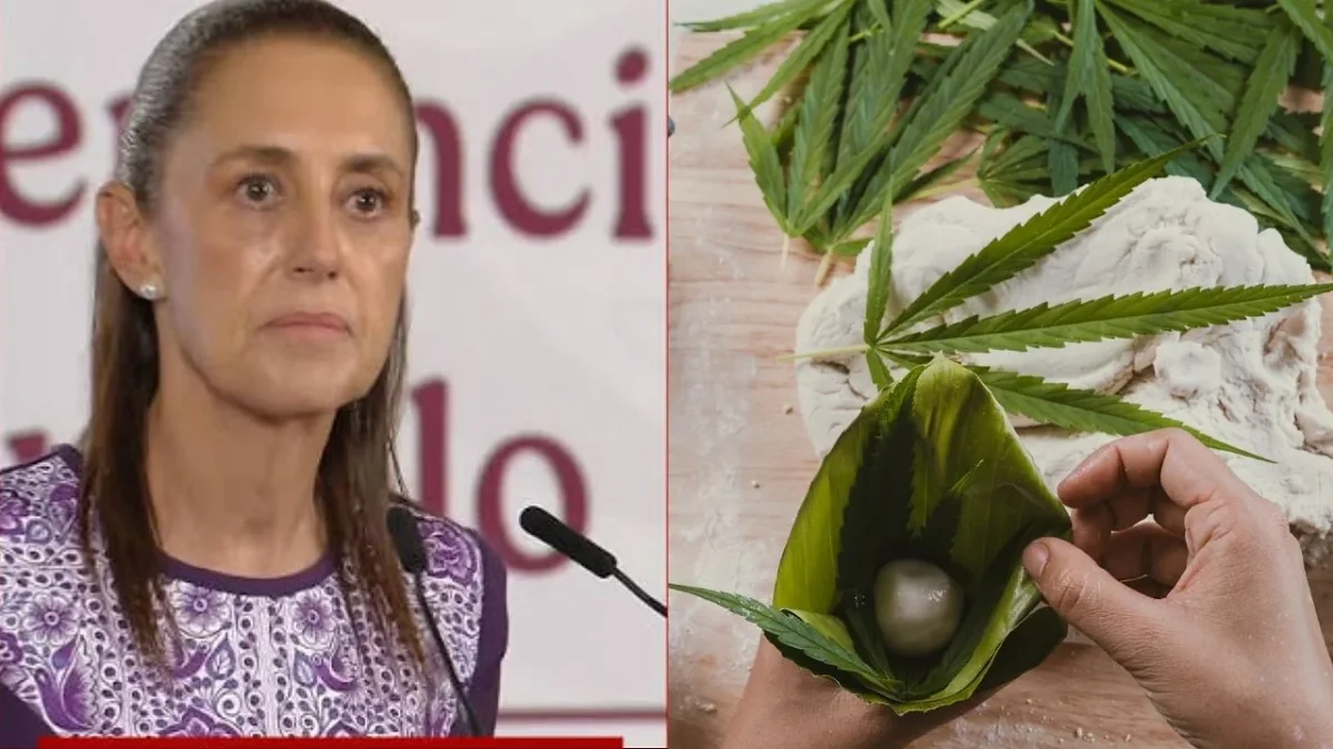 Señalamiento sacude a Palacio: Anabel Hernández dice que Sheinbaum consume Mari.gu4n4