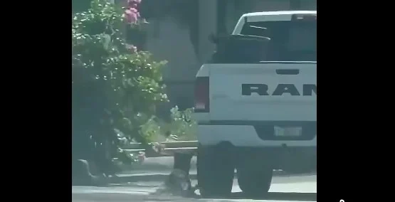 Camioneta blanca involucrada en el accidente en el que una perrita fue arrastrada en Ciudad Acuña