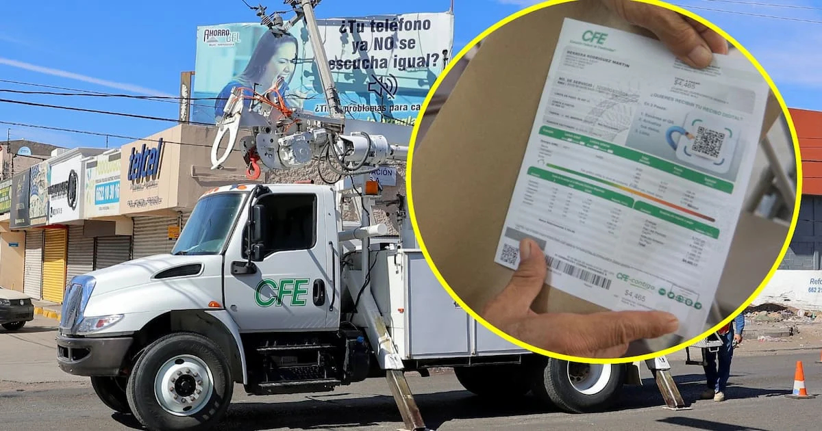 Recibo de luz de la CFE utilizado para consultar los datos del titular del servicio