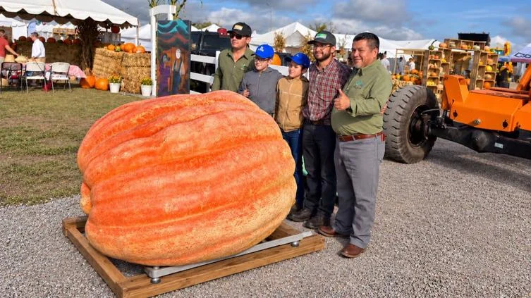 Calabaza de 765.5 kilogramos presentada por la familia Peters en Cuauhtémoc, Chihuahua