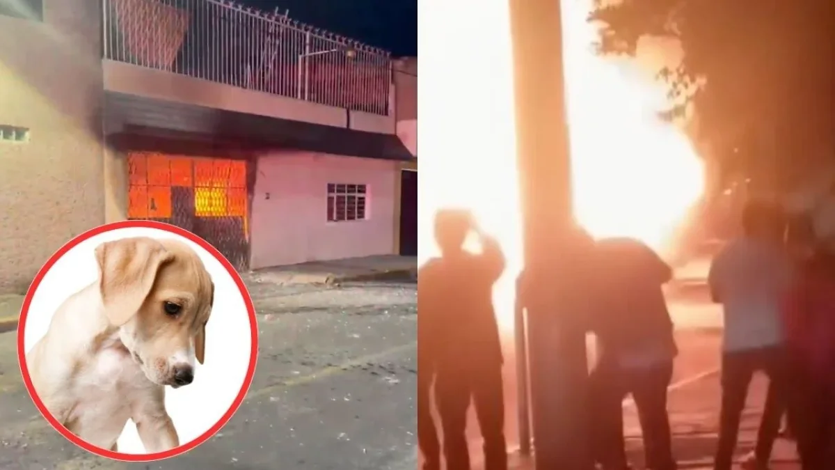 Bomberos atienden incendio en vivienda de Nueva Atzacoalco donde murieron 14 perros