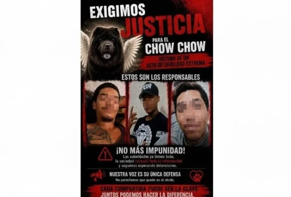 Exterior de instalaciones judiciales donde fue vinculado el acusado por la muerte de un chow chow