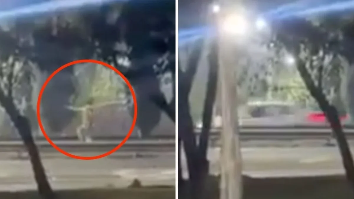Avenida donde un joven fue atropellado durante una persecución