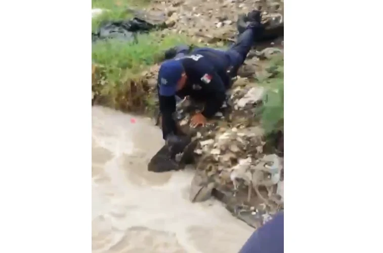 Agentes de la SSPM rescatan a un perro arrastrado por la corriente en Ciudad Juárez