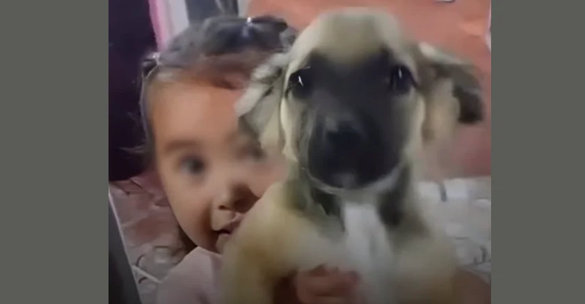 Niña carga un cachorrito que decidió llevar a su casa