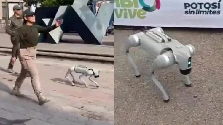 Perro robot utilizado por la Guardia Civil de San Luis Potosí para labores de vigilancia