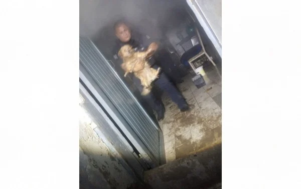Vivienda de la colonia Industrial afectada por un incendio durante la madrugada
