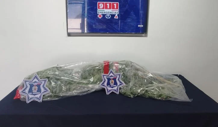 Canal de irrigación en Bosques del Sol donde fueron aseguradas plantas de marihuana