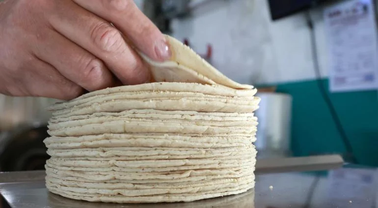 Tortillas de maíz ante posible incremento de precio