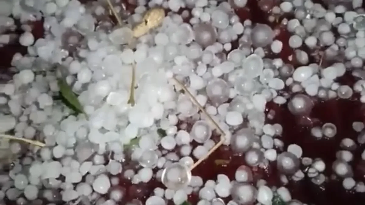 Granizo acumulado en un patio de Riberas del Bravo en Ciudad Juárez