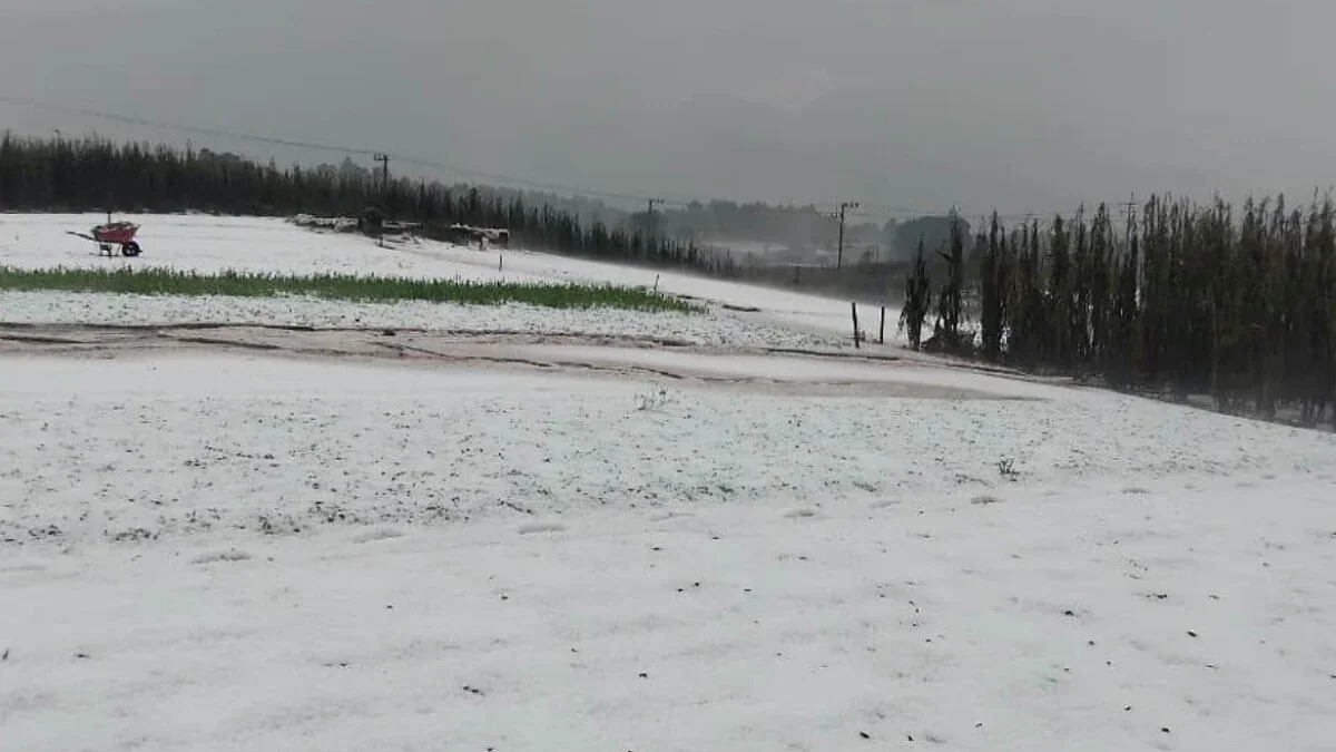 Granizo cubre de blanco una comunidad de San Cristóbal de las Casas, Chiapas