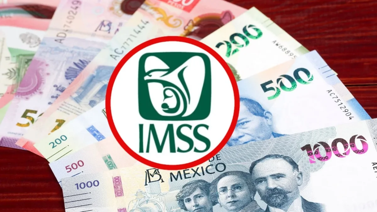 Pensionado revisando documentos relacionados con su pensión IMSS y asignaciones familiares
