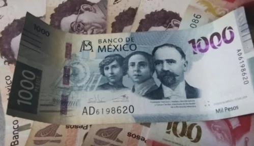Persona revisando documentos para solicitar una pensión ante el IMSS bajo la Ley 73