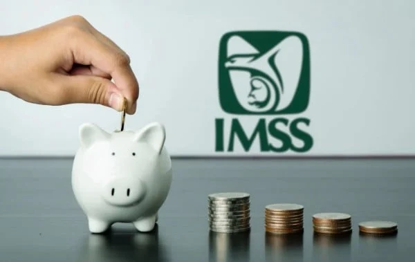 Trabajador revisa documentos relacionados con la Modalidad 40 y su futura pensión del IMSS