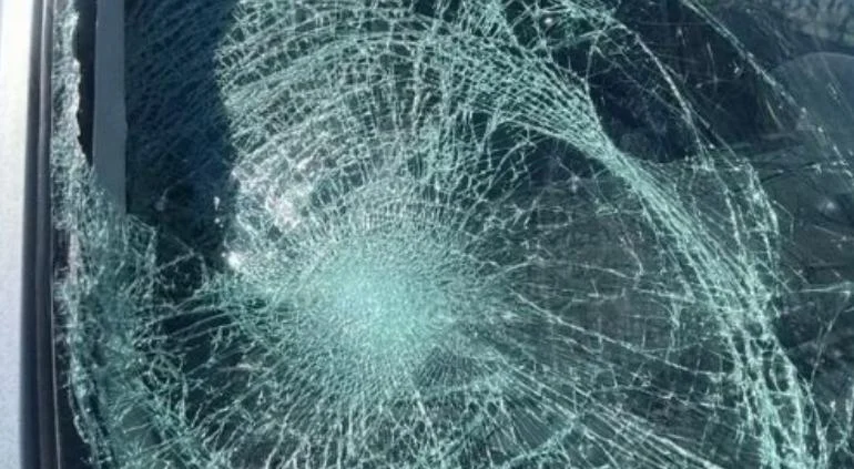 Seguridad Vial atiende atropello de un hombre en la avenida De las Torres