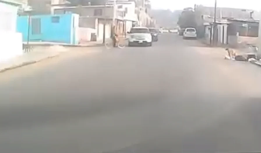 Camioneta blanca involucrada en el atropello de un menor ciclista en Bellavista