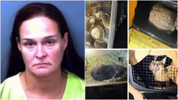 Animales exóticos resguardados por autoridades del Condado de El Paso