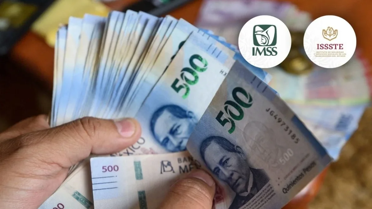 Persona pensionada consulta las fechas de pago del IMSS y del ISSSTE para noviembre de 2026
