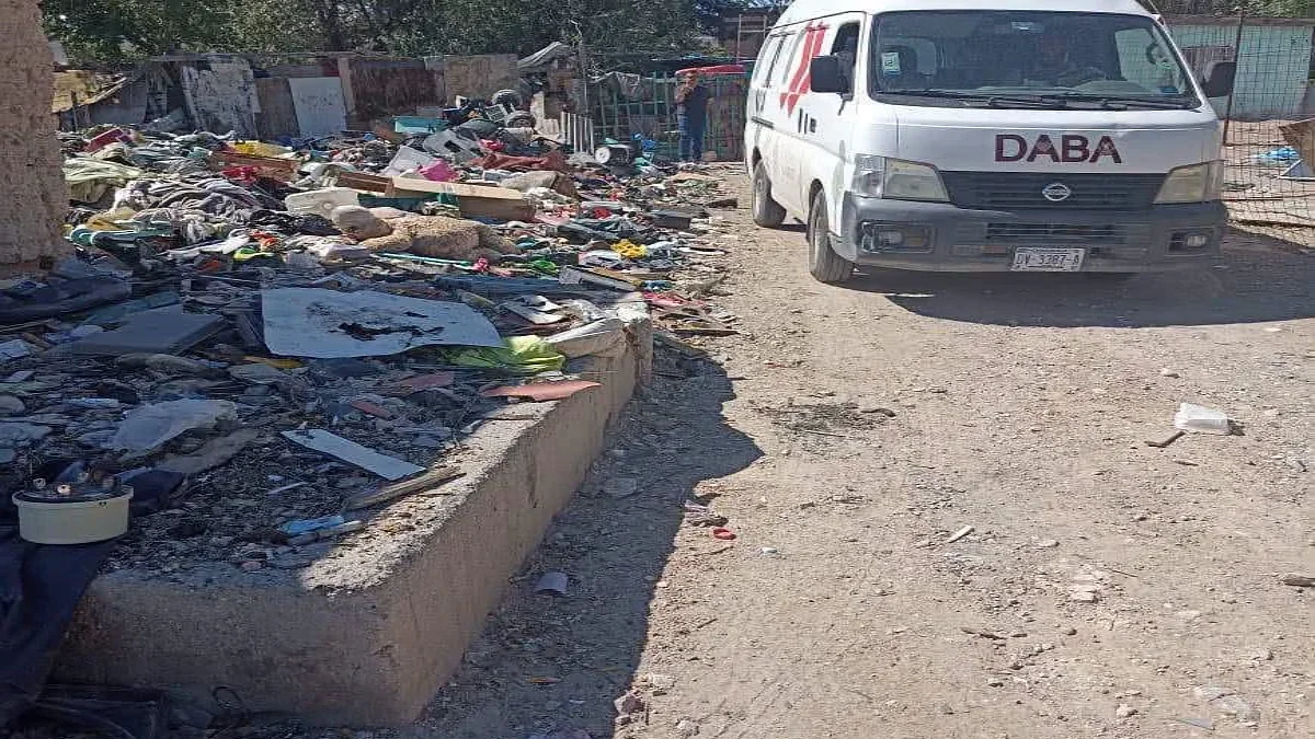 Personal de Bienestar Animal atiende caso de perrita atacada en Ciudad Juárez