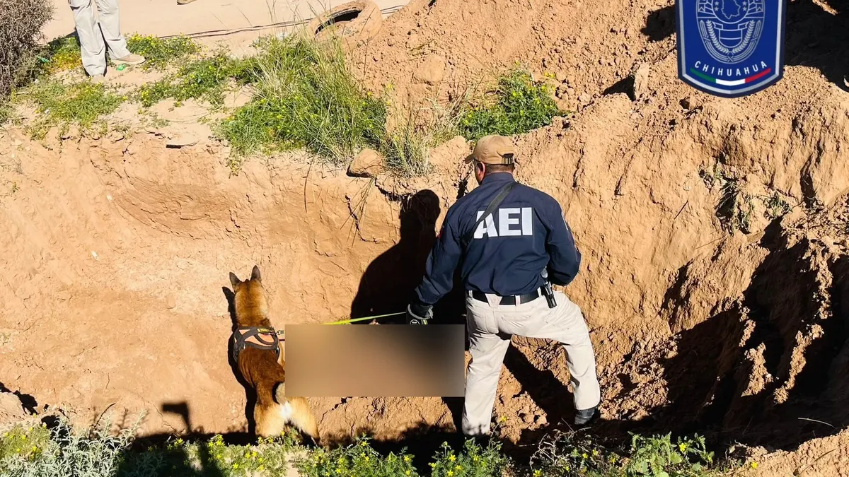 Investigación de la FEM por el hallazgo de una mujer en una fosa de Valle Dorado en Ciudad Juárez